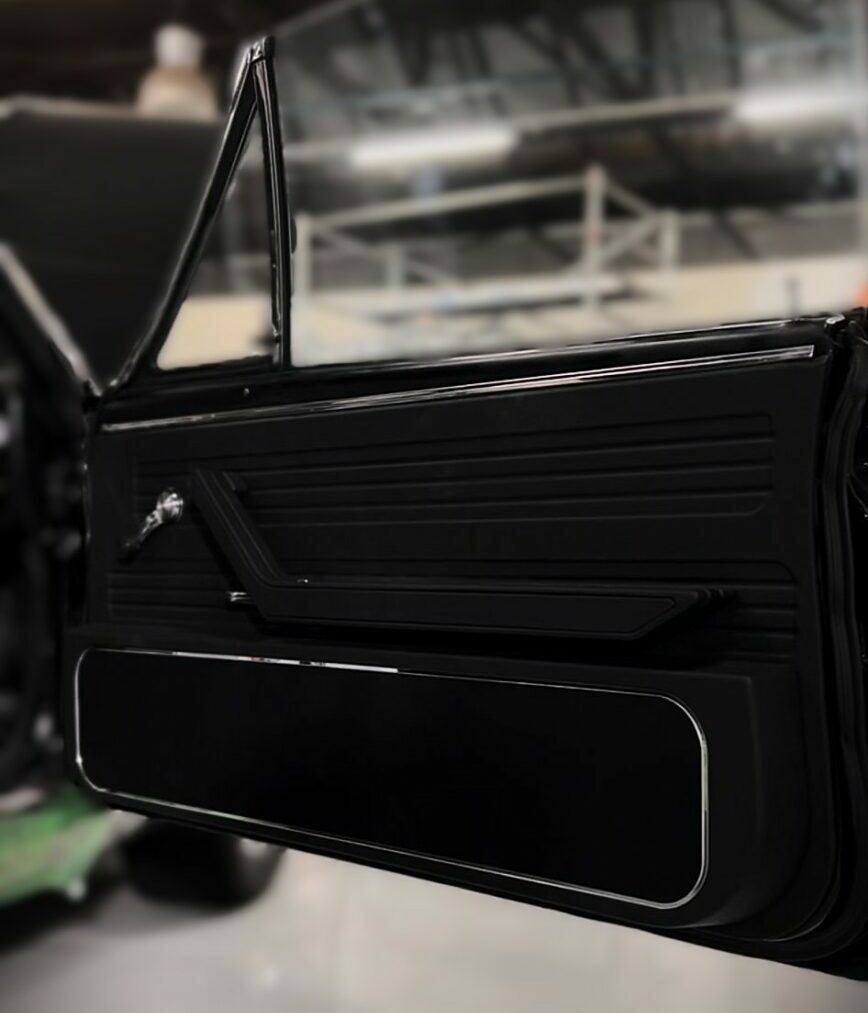 custom audio door panel